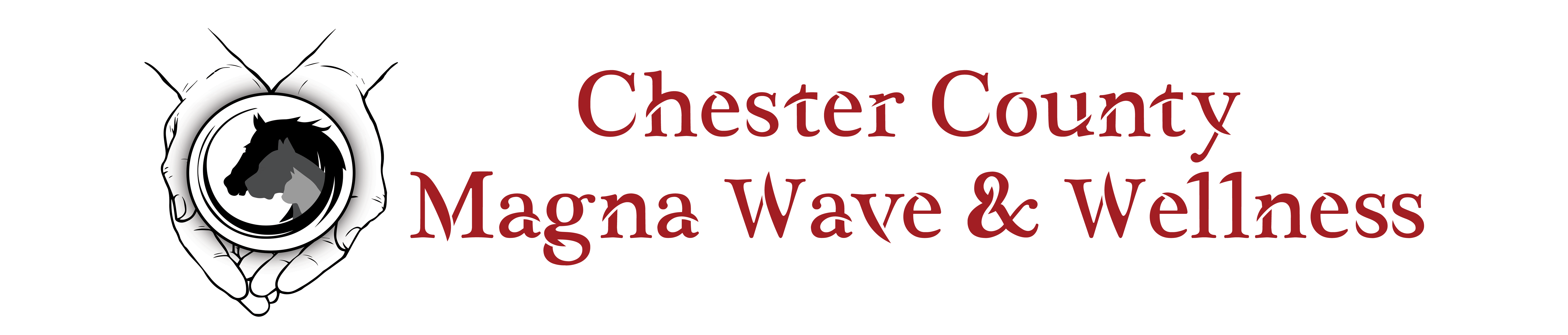 Chester County Magna Wave
